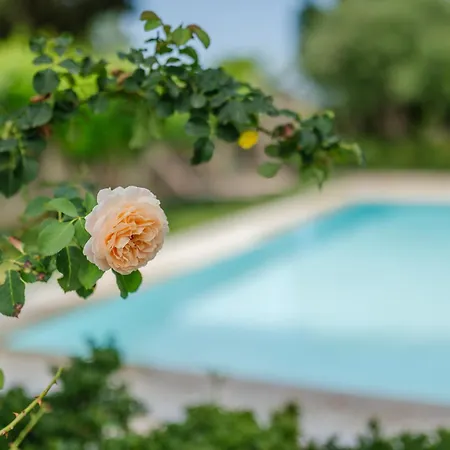 Villa-toula *