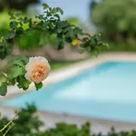 Villa-toula *